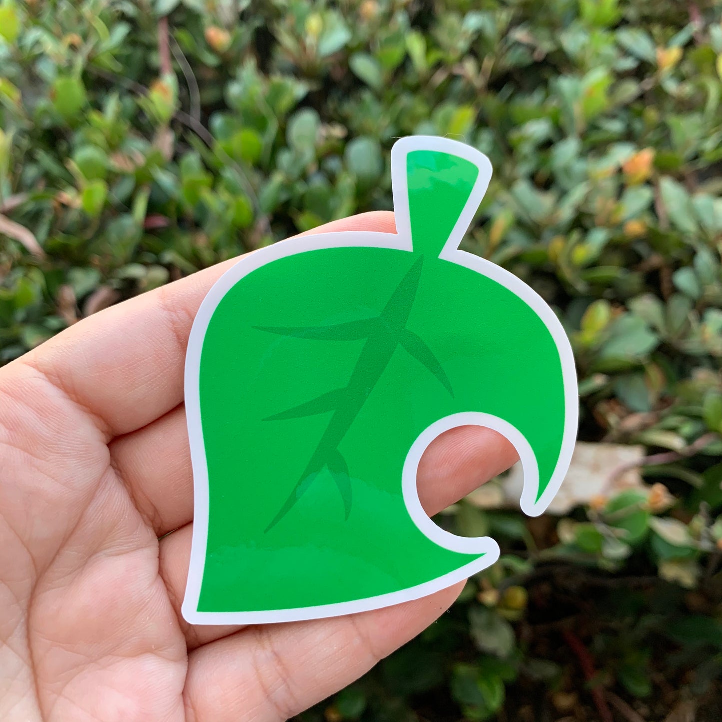 Leaf Vinyl Sticker