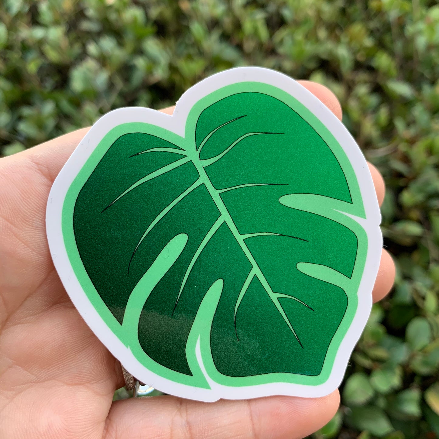 Monstera Leaf Vinyl Sticker