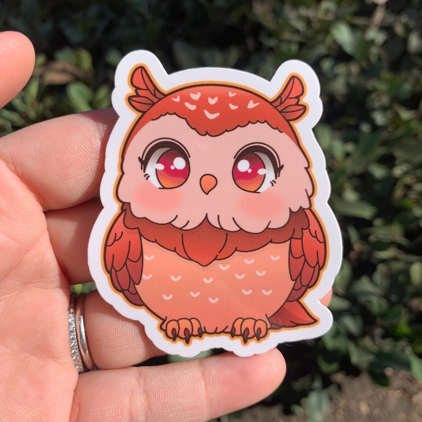 Owl Vinyl Sticker